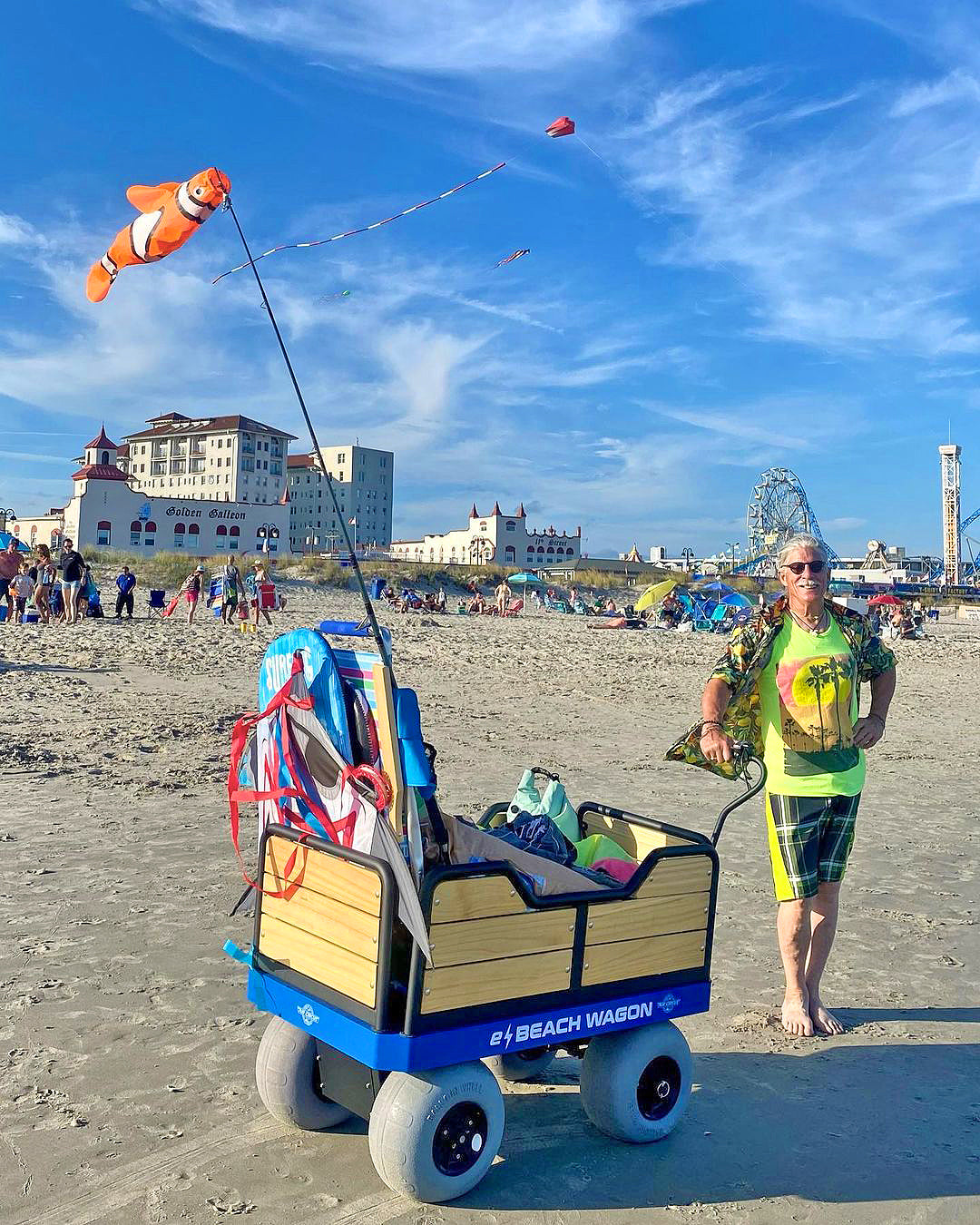 advanced electronic beach cart